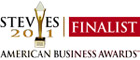 Stevie Finalist 2011