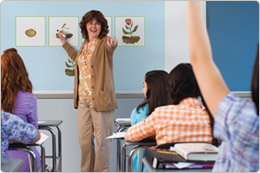Support classroom